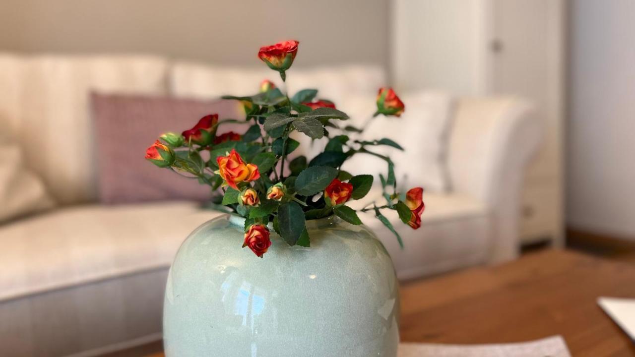 באבה Ferienwohnung Sonnenblume מראה חיצוני תמונה